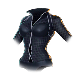 Catwoman_NIN_01_torso.png