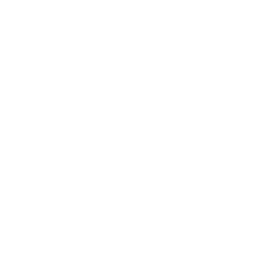 LeagueTTVIcon