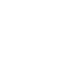 mod_Armor_Pierce_Immun.png