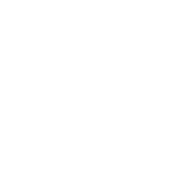 mod_anti_magic_field.png