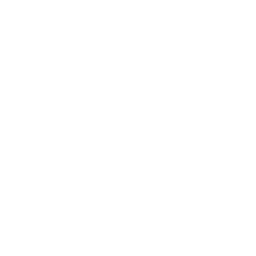 mod_berserk.png
