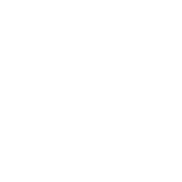 mod_damage_cap.png