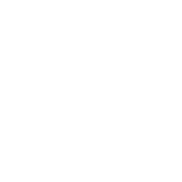 mod_defense_shield.png
