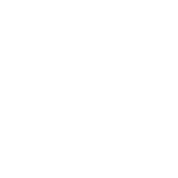mod_entropy_field.png