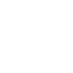 mod_focused.png