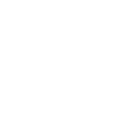mod_fury_damage.png