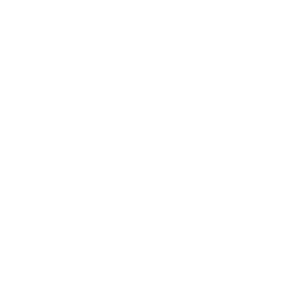 mod_reinforced.png