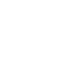 mod_resilient.png
