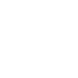 mod_salvation.png