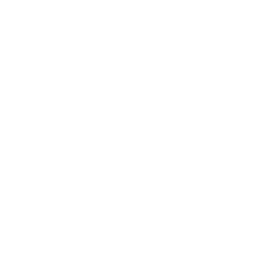 mod_solid.png