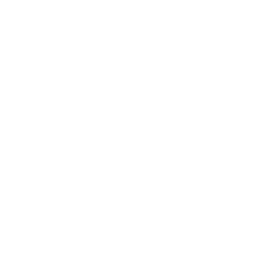mod_versatile_sight.png