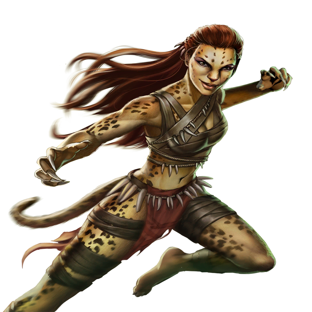 Cheetah_A_Basic.png