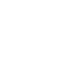 Batman_80_Passive_01.png