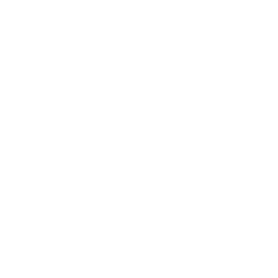 Batman_80_SP01.png