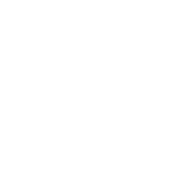 Batman_AK_passive_02.png