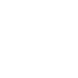 BlackAdam_B_Passive_03.png
