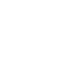 BlackCanary_B_Passive.png