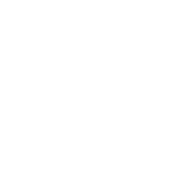 BlackLightning_A_01.png