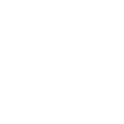BlackLightning_A_02.png