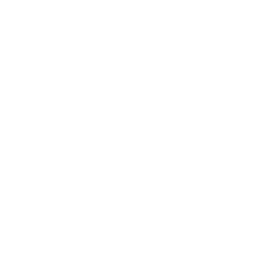 BlackLightning_A_Passive.png