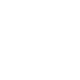 Cheetah_A_01.png