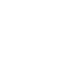 Cheetah_A_02.png