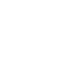 Cheetah_A_03.png