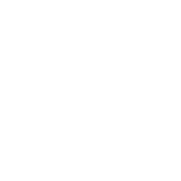 Cheetah_A_Super.png