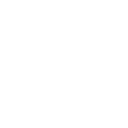 Cheetah_V_01.png