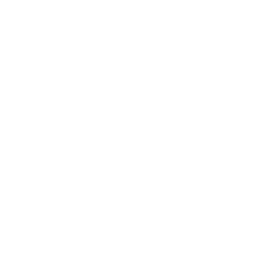 Cheetah_V_Passive.png