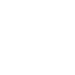 Cheetah_V_Passive_03.png