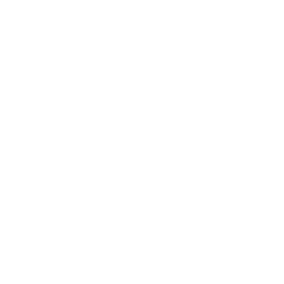 Cyborg_A_02.png