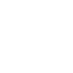 Cyborg_A_03.png
