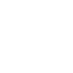 Cyborg_B_Passive.png