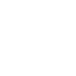 Cyborg_GR_Passive.png