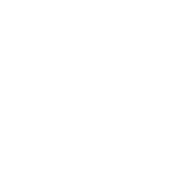DamianWayne_NIN_02.png