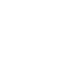 KillerFrost_A_Passive_01.png