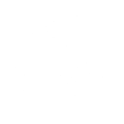 Raiden_A_Passive_01.png
