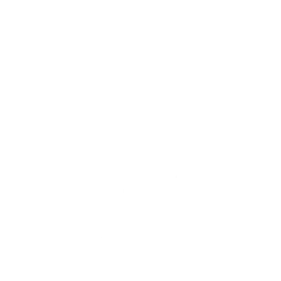 Raiden_A_Passive_02.png