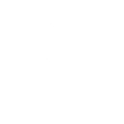 Raiden_A_Passive_03.png