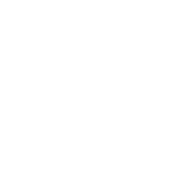Shazam_Supermove.png