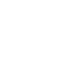 Supergirl_AR_Passive_03.png