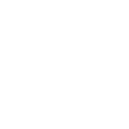 Superman_80_SP02.png