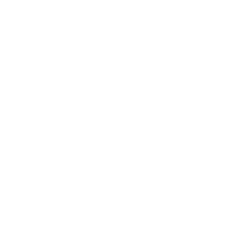Superman_BR_Passive_02.png
