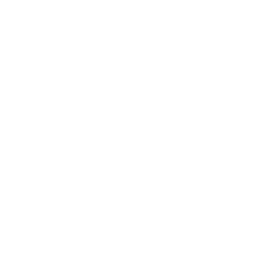 TheJoker_M_Passive_01.png