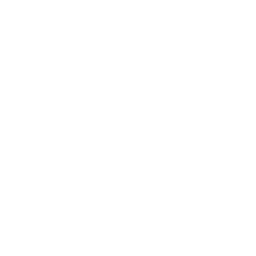TheJoker_NIN_02.png