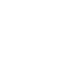 WonderWoman_80_Passive_01.png