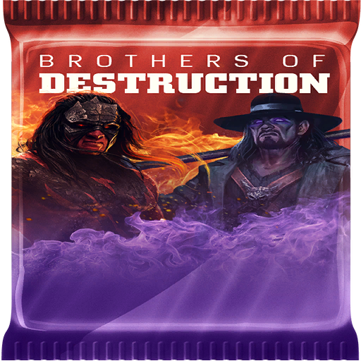 BoosterPack_BrothersOfDestruction
