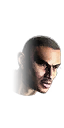 fg_head_jax_lr