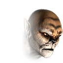 fg_head_kintaro